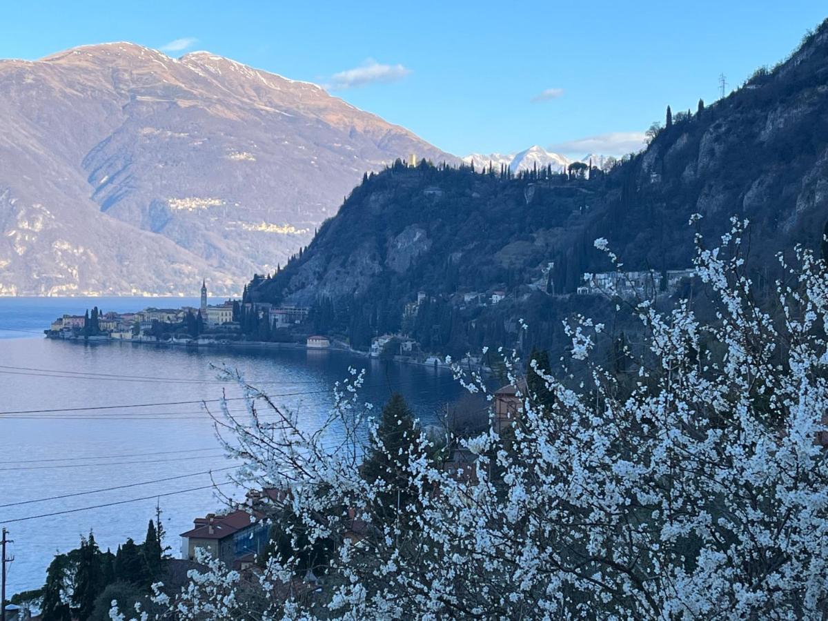 La Punta Di Varenna Dış mekan fotoğraf