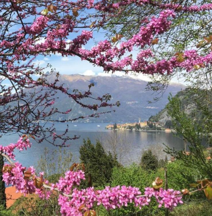 La Punta Di Varenna Dış mekan fotoğraf